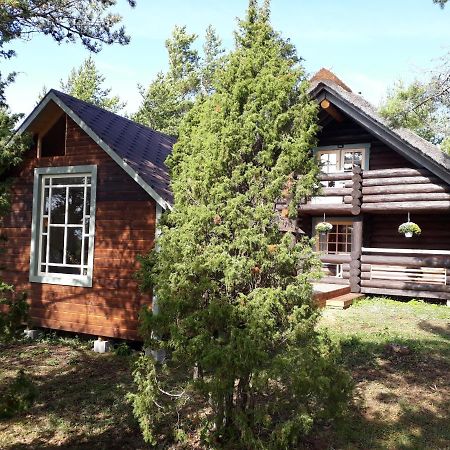Paehkli Seaside Cottage With Cozy Outdoor Patio Koiguste Zewnętrze zdjęcie