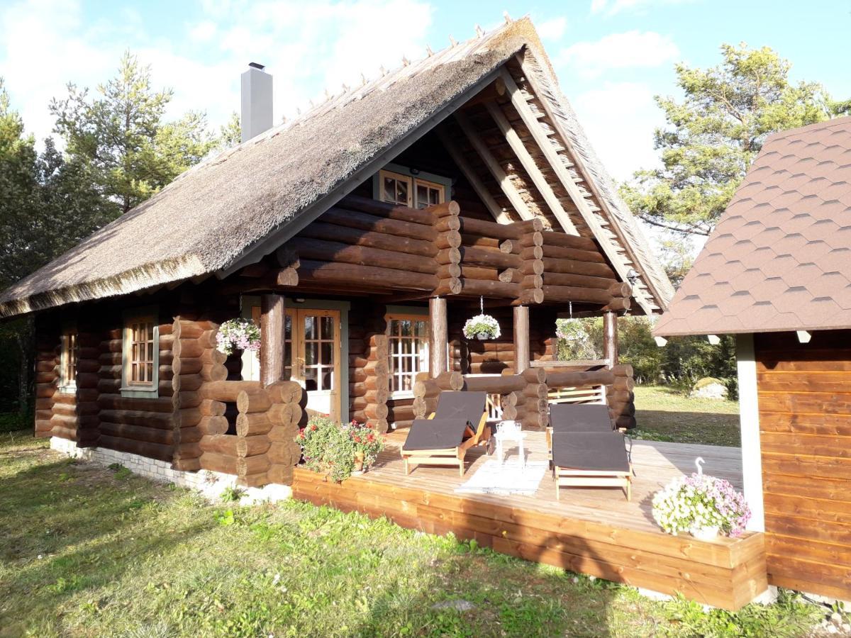 Paehkli Seaside Cottage With Cozy Outdoor Patio Koiguste Zewnętrze zdjęcie